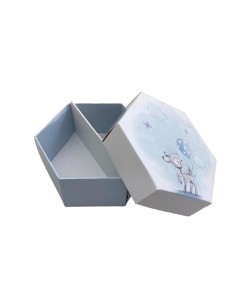 10 Scatole divisorio esagonale cerbiatto celeste 2