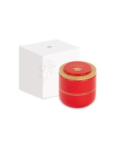 6 Candela barattolo  Laurea cm8