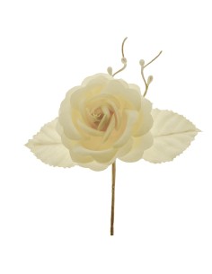 Rosa Panna cm10