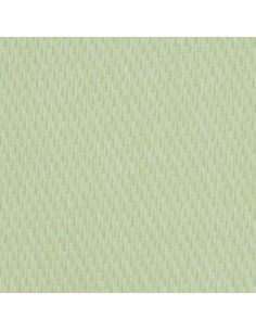 Nastro raso pistacchio 10mm 2