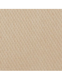Nastro raso cipria 10mm 2