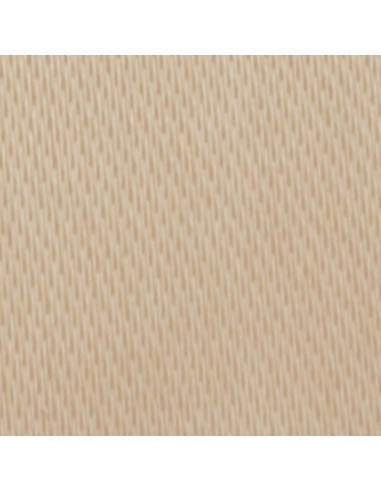Nastro raso cipria 10mm
