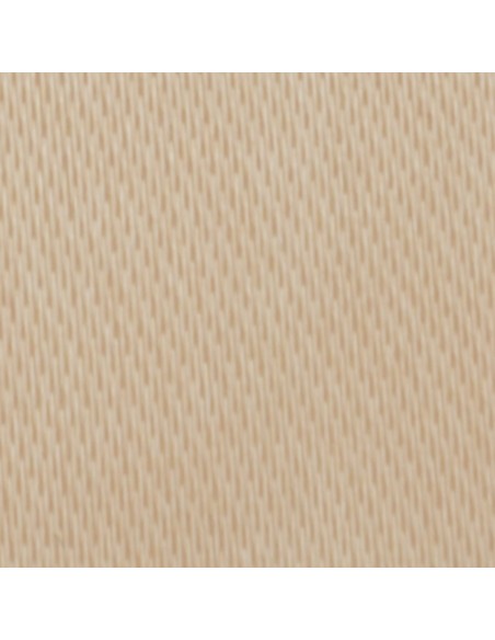 Nastro raso cipria 10mm