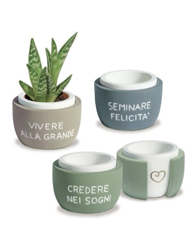 vaso portapianta