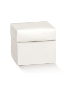 10 Scatole bianche 8X8X13