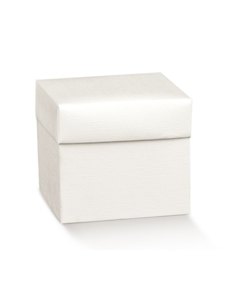 10 Scatole bianche 8X8X13