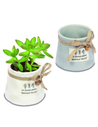 4 Vaso portapianta cm6,5