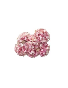 Fiori per decorare