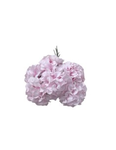 Fiori per decorare