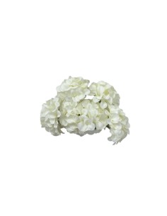 Fiori per decorare