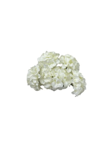 Fiori per decorare