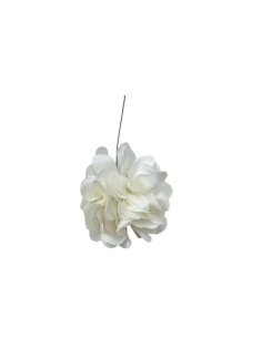 Fiori per decorare