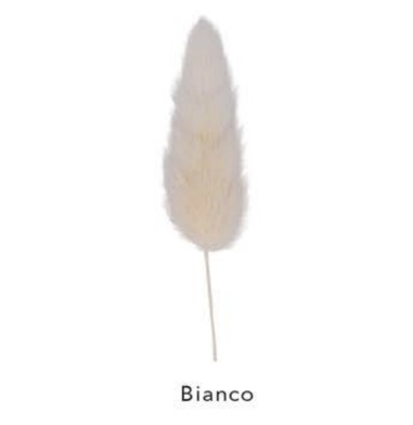 Fiori per decorare