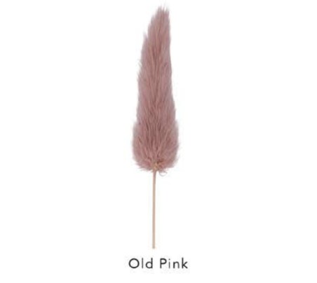 coda di topo rosa