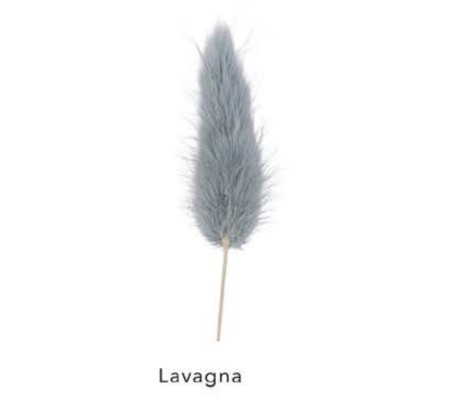 coda di topo lavagna