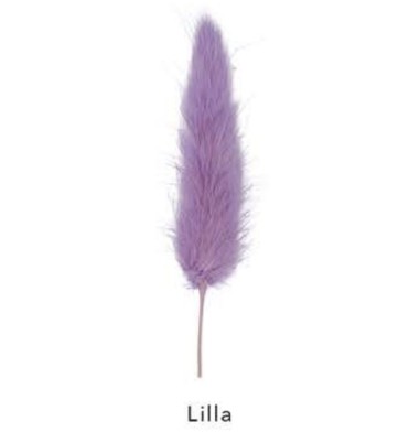 coda di topo lilla