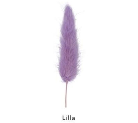 coda di topo lilla