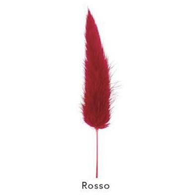 coda di topo rosso