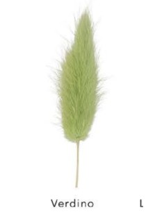 coda di topo verde