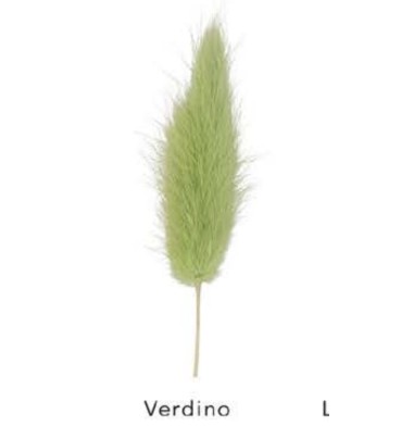 coda di topo verde