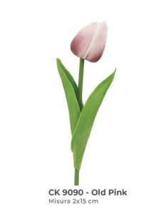 tulipano old pink