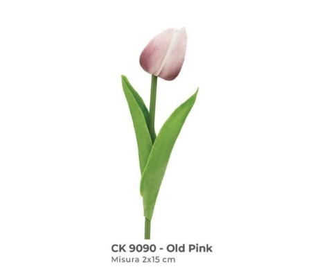 tulipano old pink