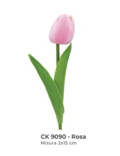 tulipano rosa