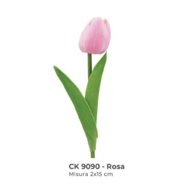 tulipano rosa