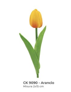 tulipano arancio