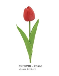 tulipano rosso
