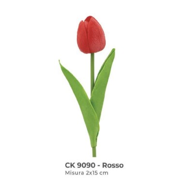 tulipano rosso