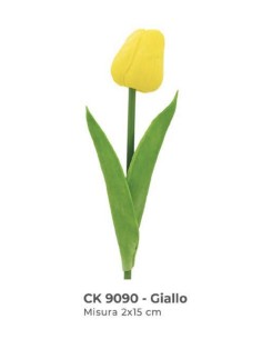 tulipano giallo
