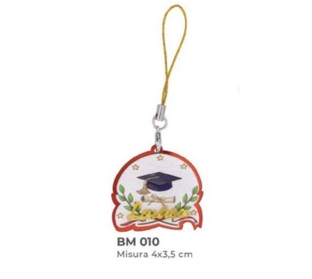 10 Applicazione laurea