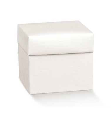 10 Scatole  10X10X12