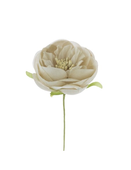 12 Fiore decorativo beige