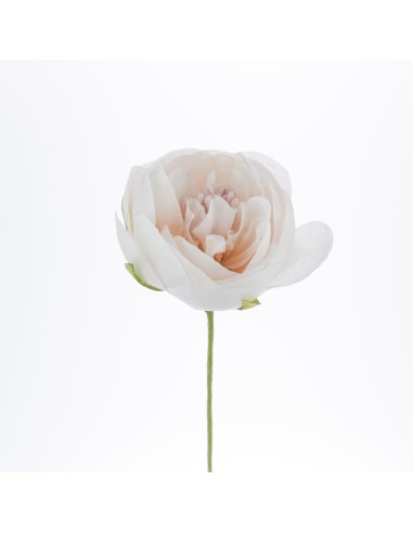 12 Fiore decorativo pesca