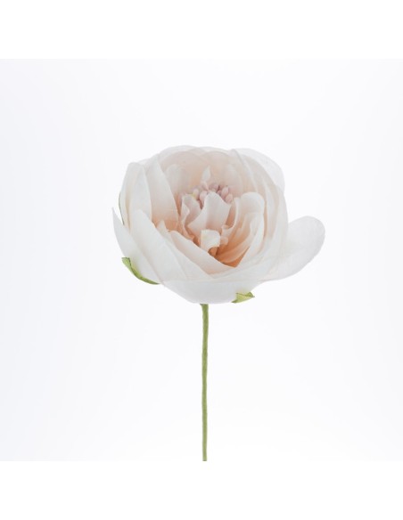 12 Fiore decorativo pesca