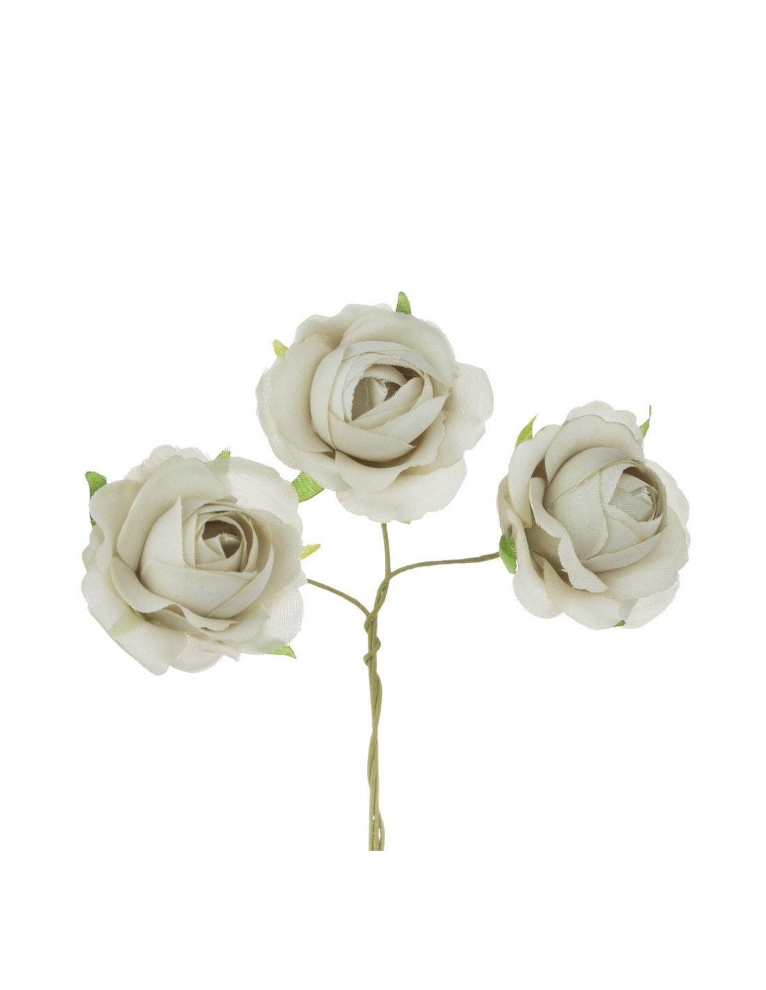 6 Rose decorative beige