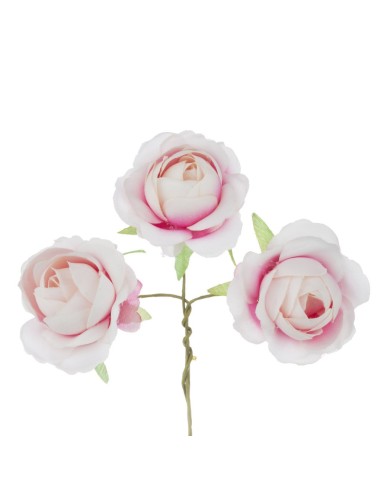 6 Rose decorative rosa