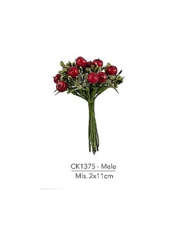 12 Bacche con mele decorative