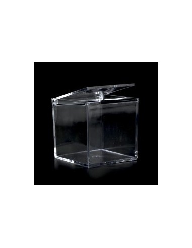Scatola plexiglass 8X8X8