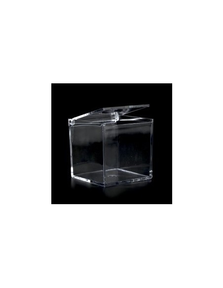 Scatola plexiglass 8X8X8