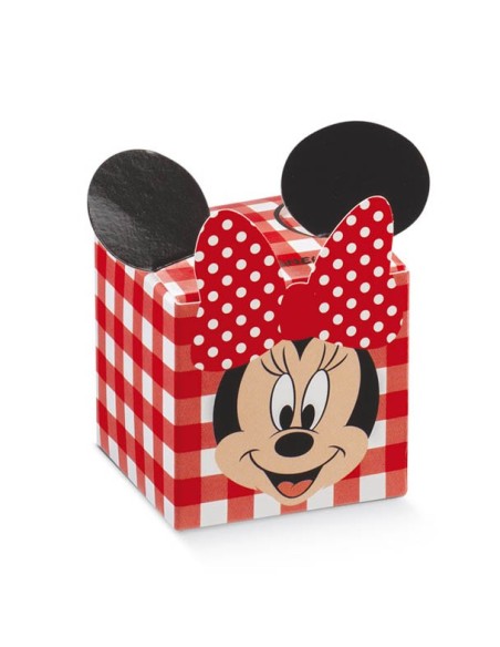 10 Scatole cubo minnie