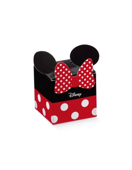 10 Scatole cubo minnie