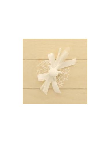 12 Gesso stella marina