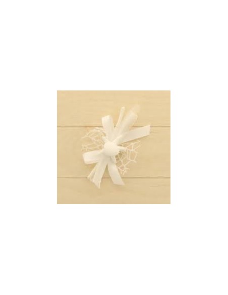 12 Gesso stella marina