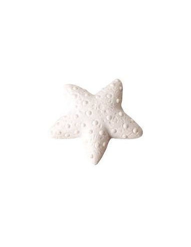 12 Gesso stella marina