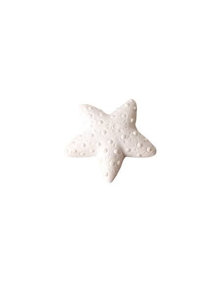 12 Gesso stella marina