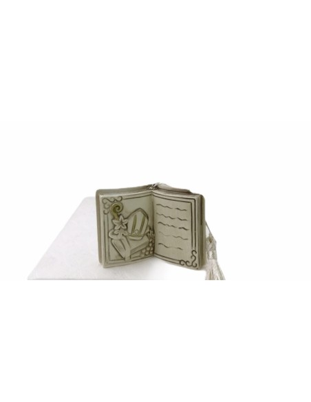 12 Statuina libro cresima