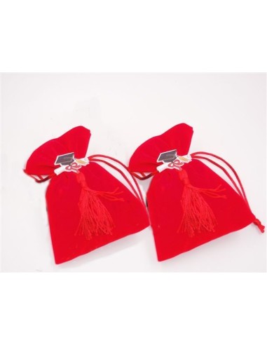 12 Sacchetti con tocco laurea